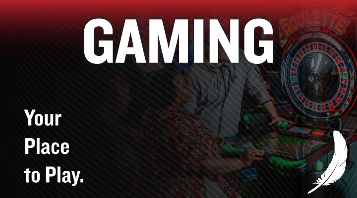 Ho-Chunk Gaming Nekoosa in Nekoosa, WI (6)