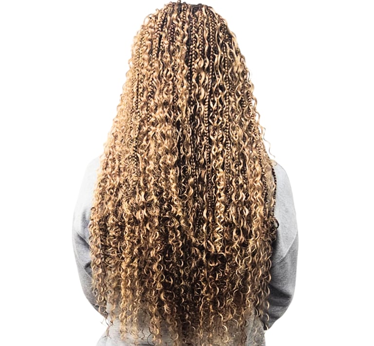 Lily's braids in Missouri City, TX (3)