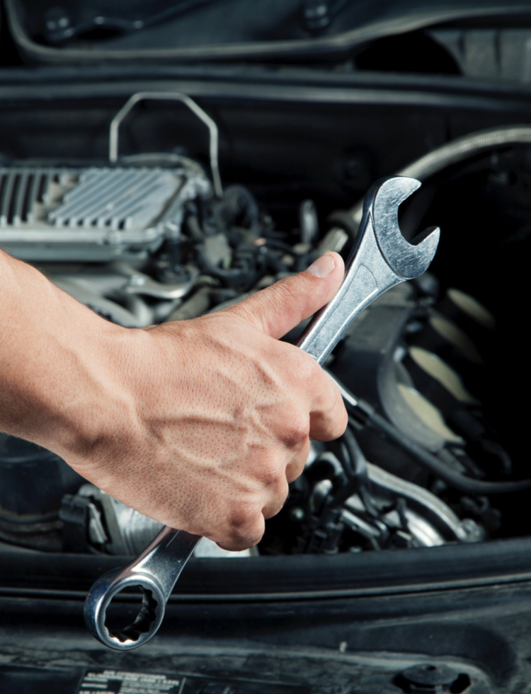 South Florida Auto Repair in Tampa, FL (2)