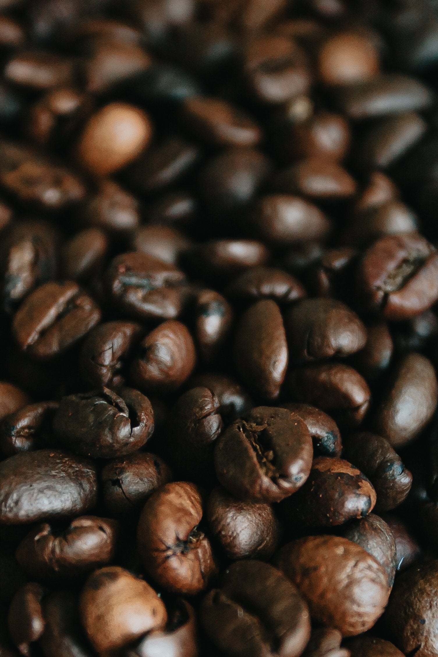 Boonton Coffee Co in Boonton, NJ (3)