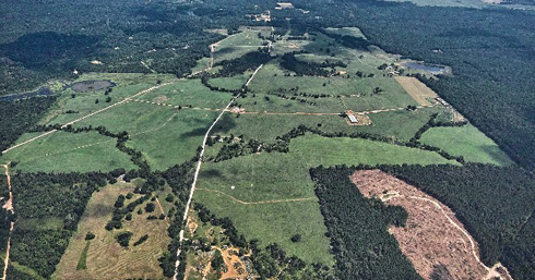 Cherokee Real Estate Company, Inc. in Jacksonville, TX
