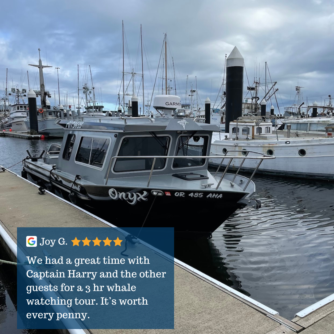 Stella's Adventures in Crescent City, CA (2)