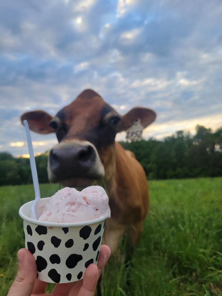 Brown Cow Creamery in Mt Airy, MD (3)