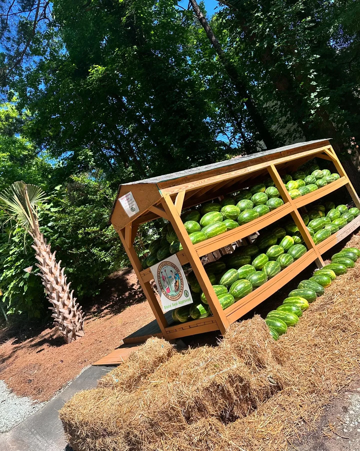 Perkins Orchard in Durham, NC (2)