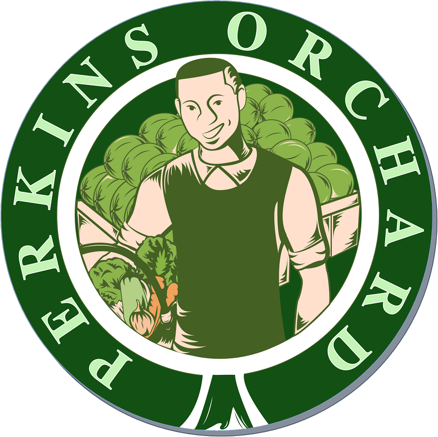 Perkins Orchard in Durham, NC (6)