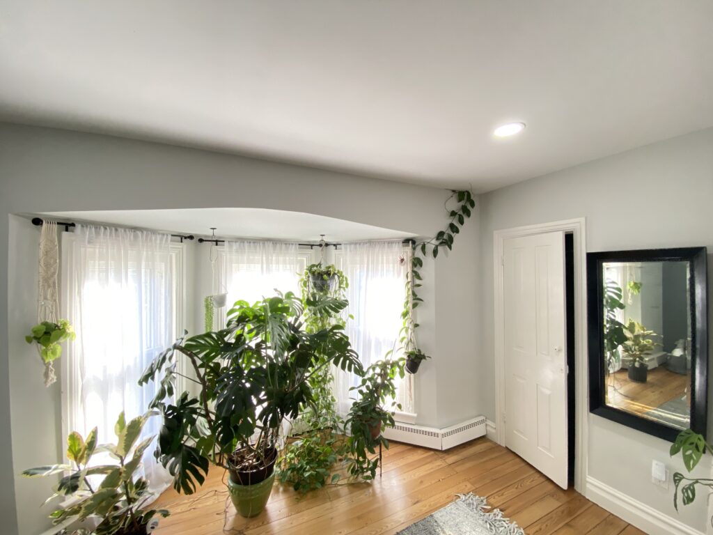 Ziegler Painting & Drywall Repairs in Coopersburg, PA (2)