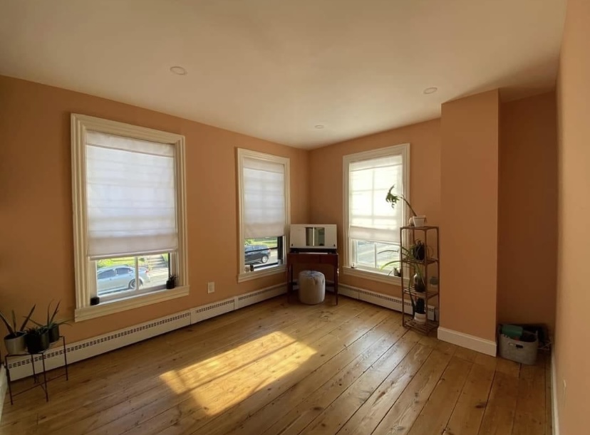 Ziegler Painting & Drywall Repairs in Coopersburg, PA (3)