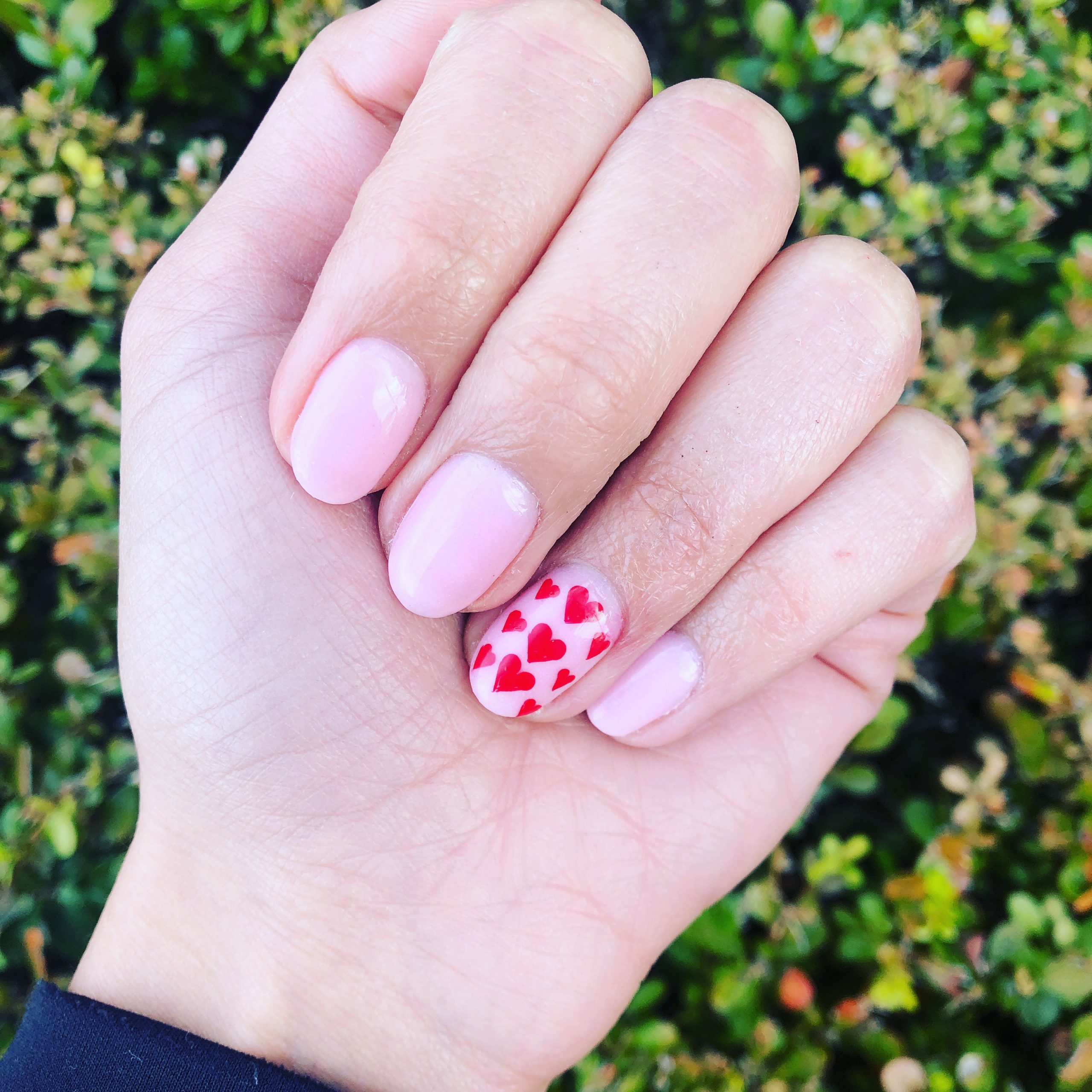 The Flamingo Nail & Spa in Walnut Creek, CA (2)