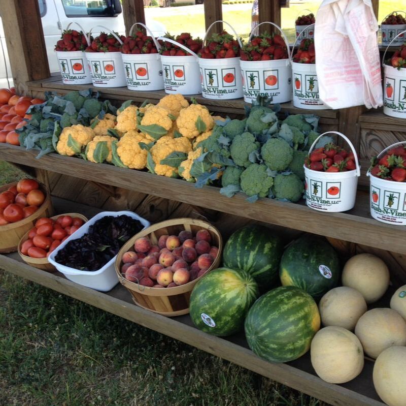 Bush-N-Vine Farm in York, SC (3)