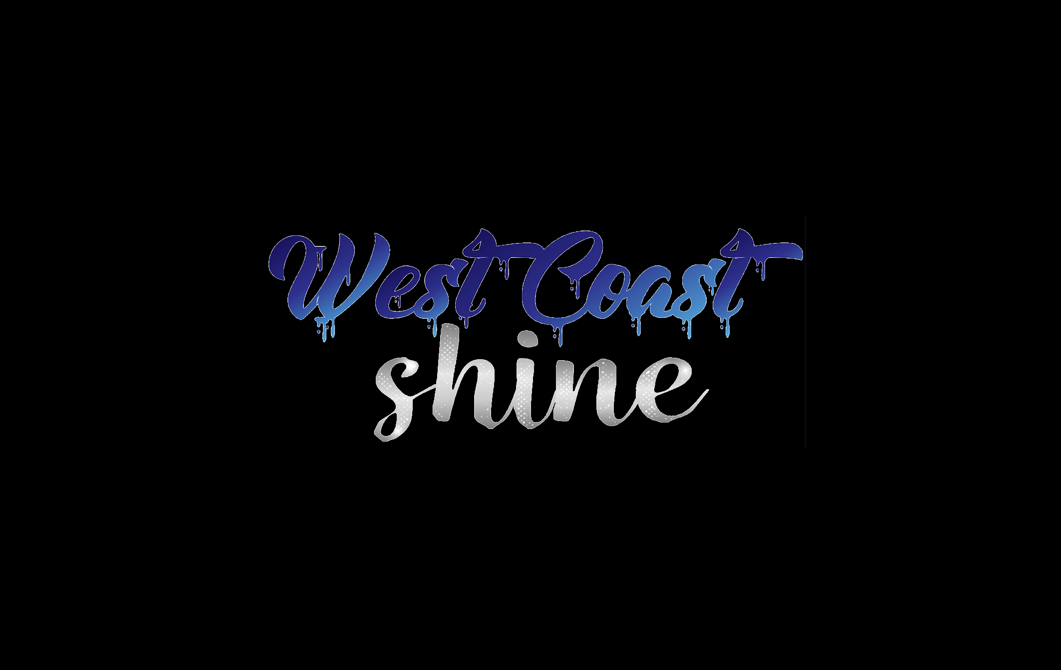 West Coast Shine Detailing & Ceramic Coating in Bradenton, FL (4)
