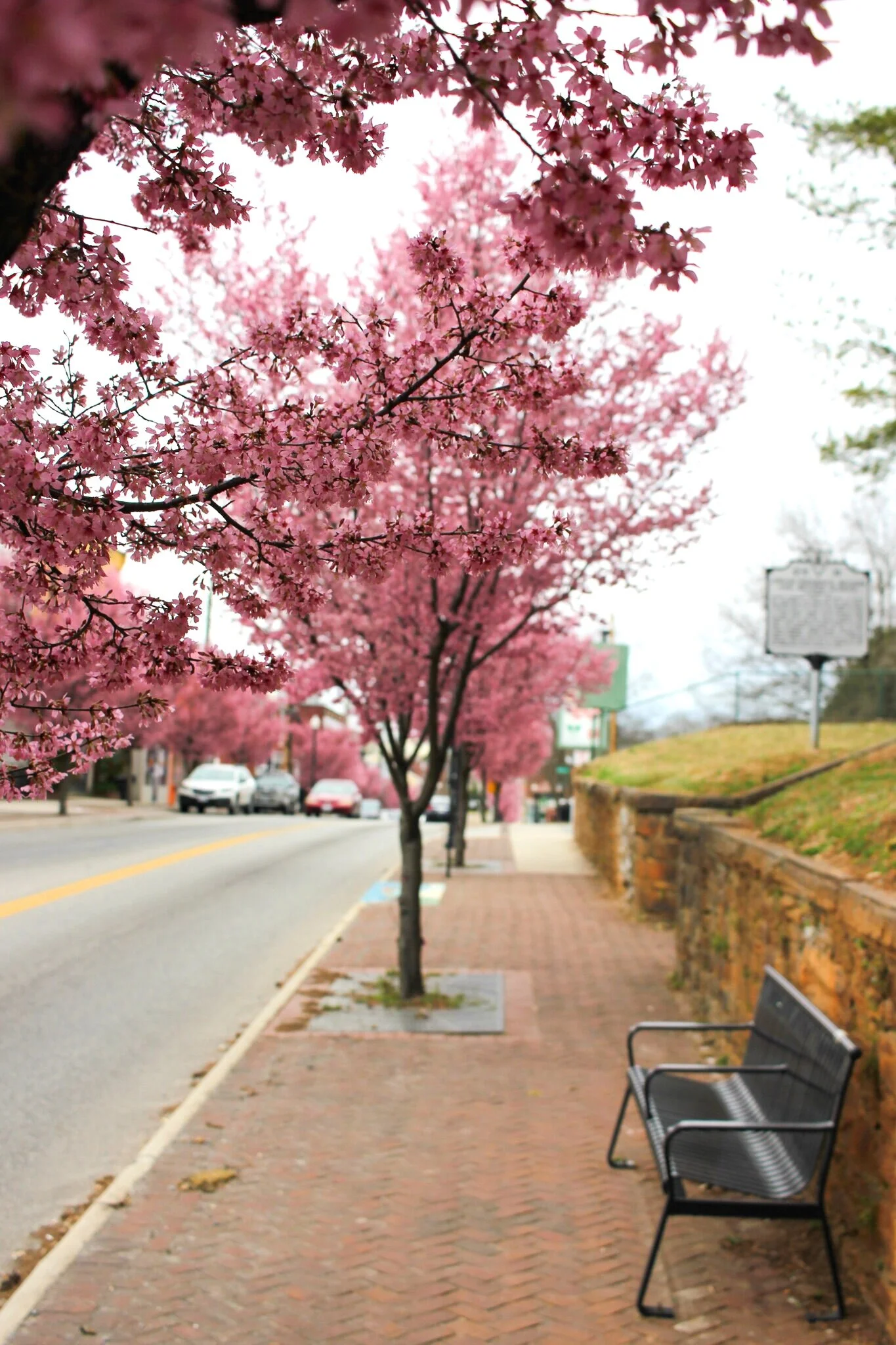Downtown Lynchburg Association in Lynchburg, VA (6)