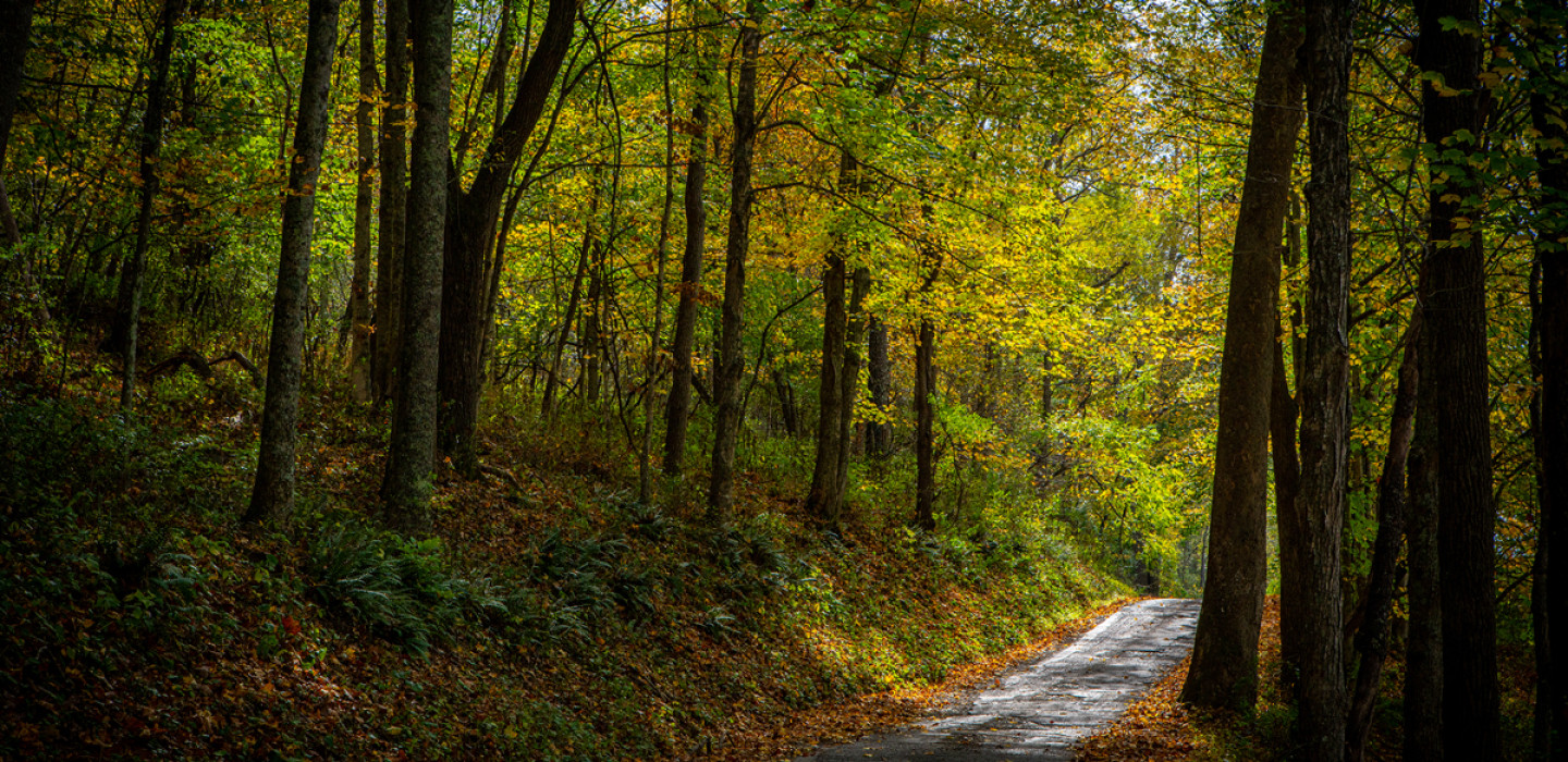 Experience Greenbrier Valley in Lewisburg, WV