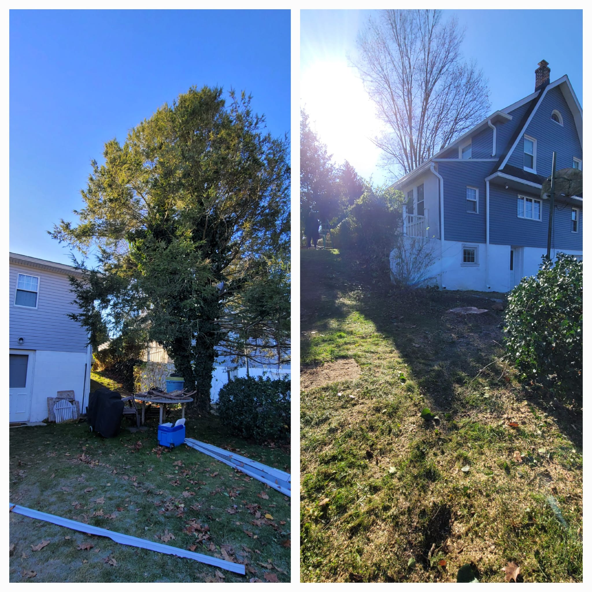 A&M TREE SERVICES LLC in West Chester, PA (5)
