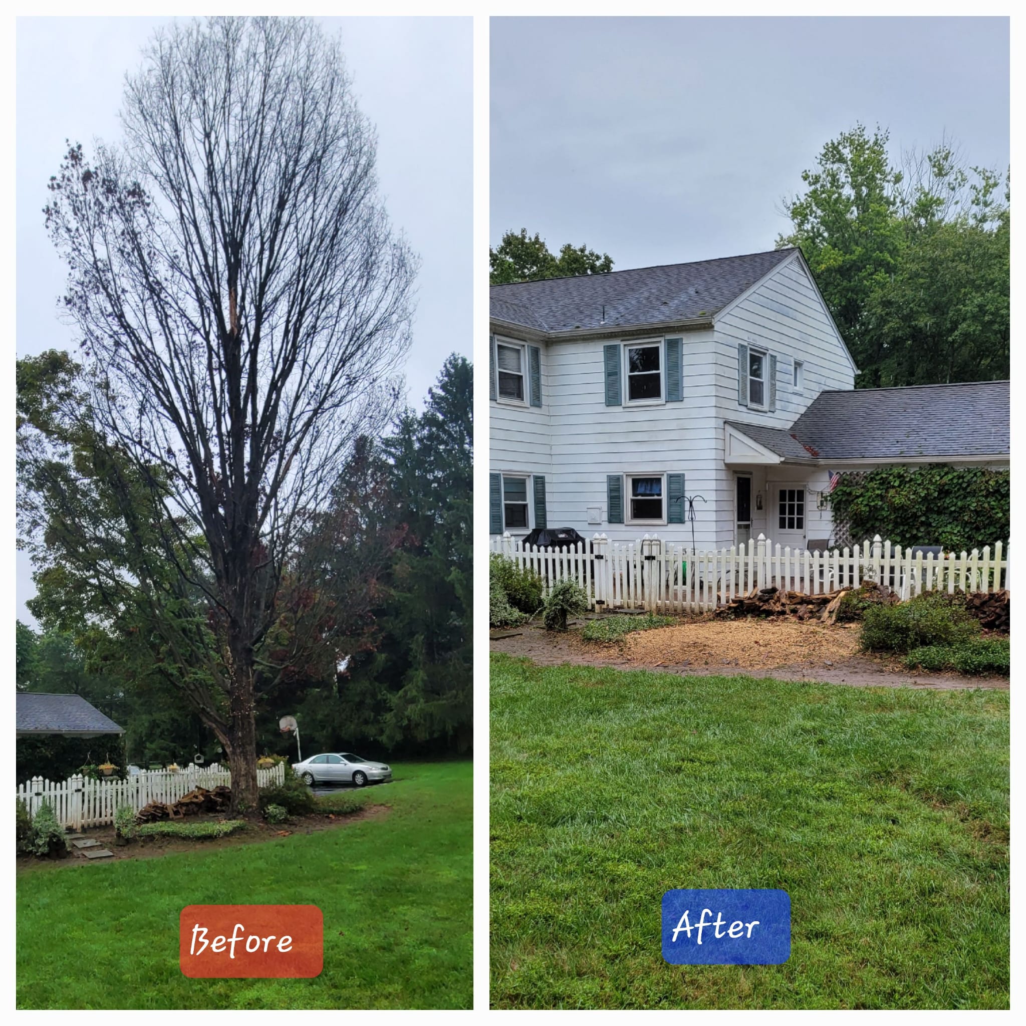 A&M TREE SERVICES LLC in West Chester, PA (6)