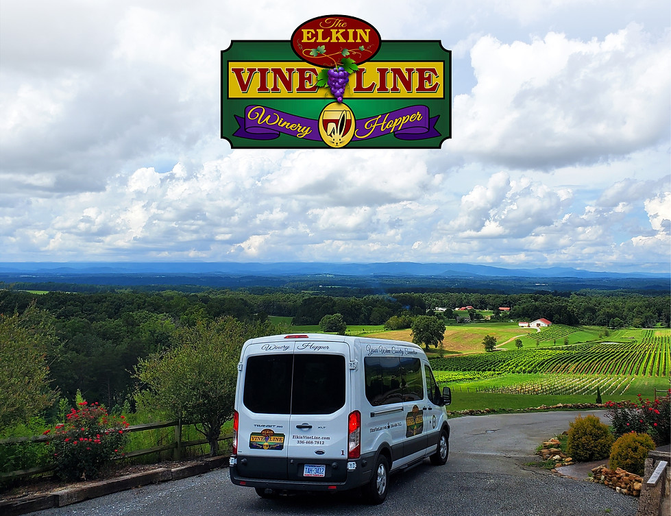 Elkin Vine Line in Elkin, NC (3)
