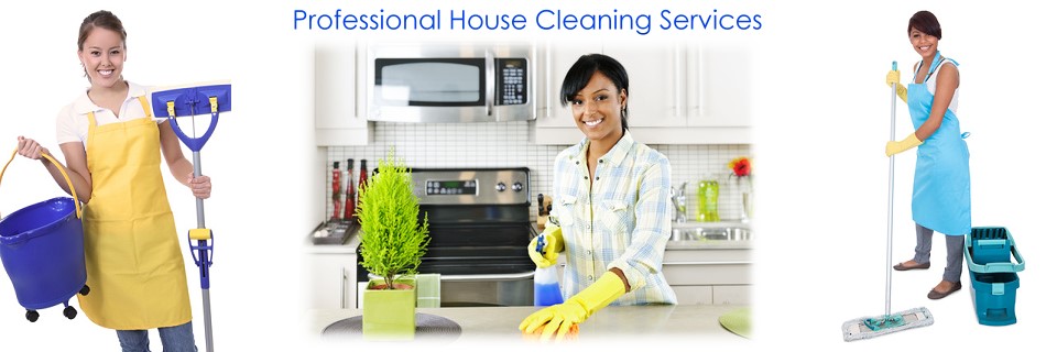 Sparkletime Cleaning Services in Burke, VA