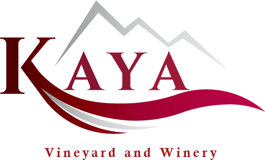 Kaya Vineyard & Winery in Dahlonega, GA (4)