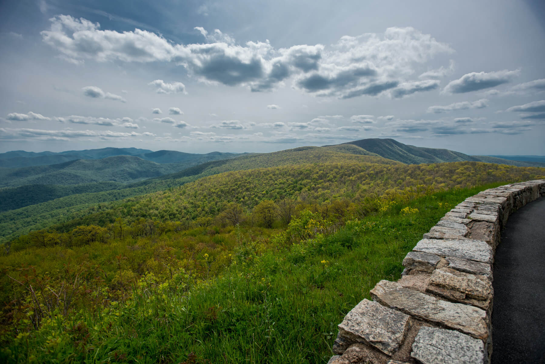 Luke Smith, Realtor in Harrisonburg, VA (2)