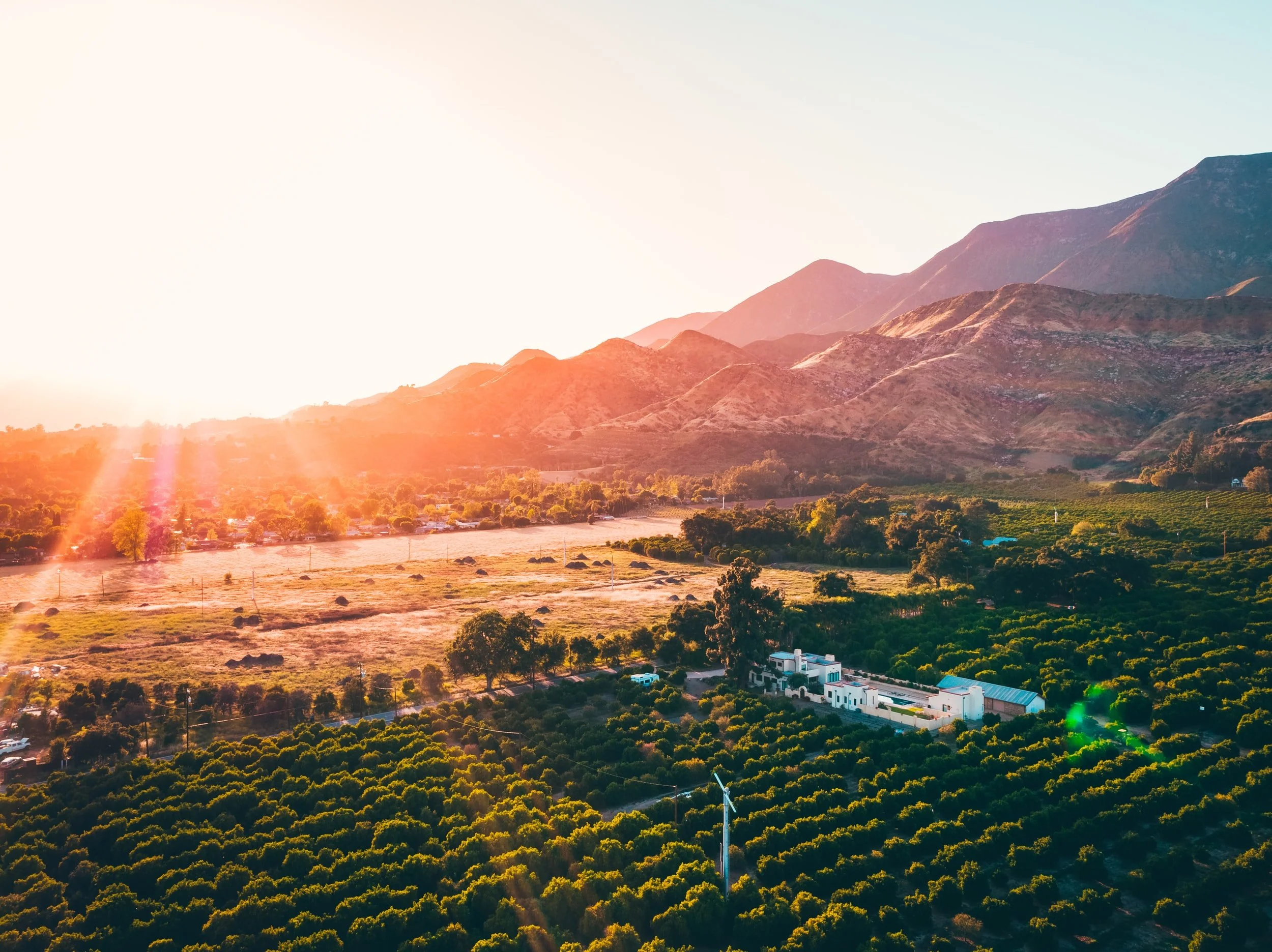 Ojai Real Estate Agent - Serena Handley at LIV Sotheby's International Realty in Ojai, CA