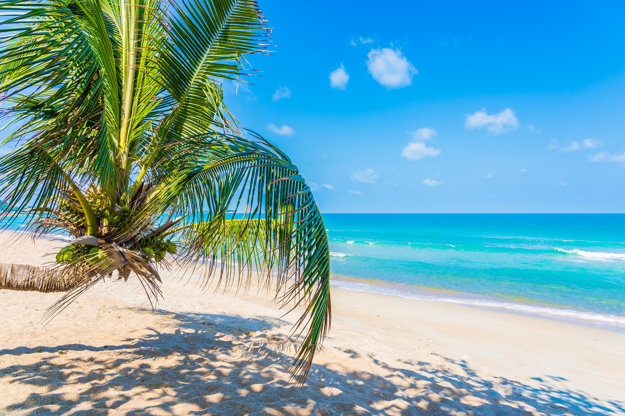 Misty Morrison Real Estate & Company in Melbourne, FL
