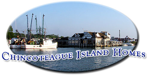 Terri C Rose, REALTOR in Chincoteague, VA
