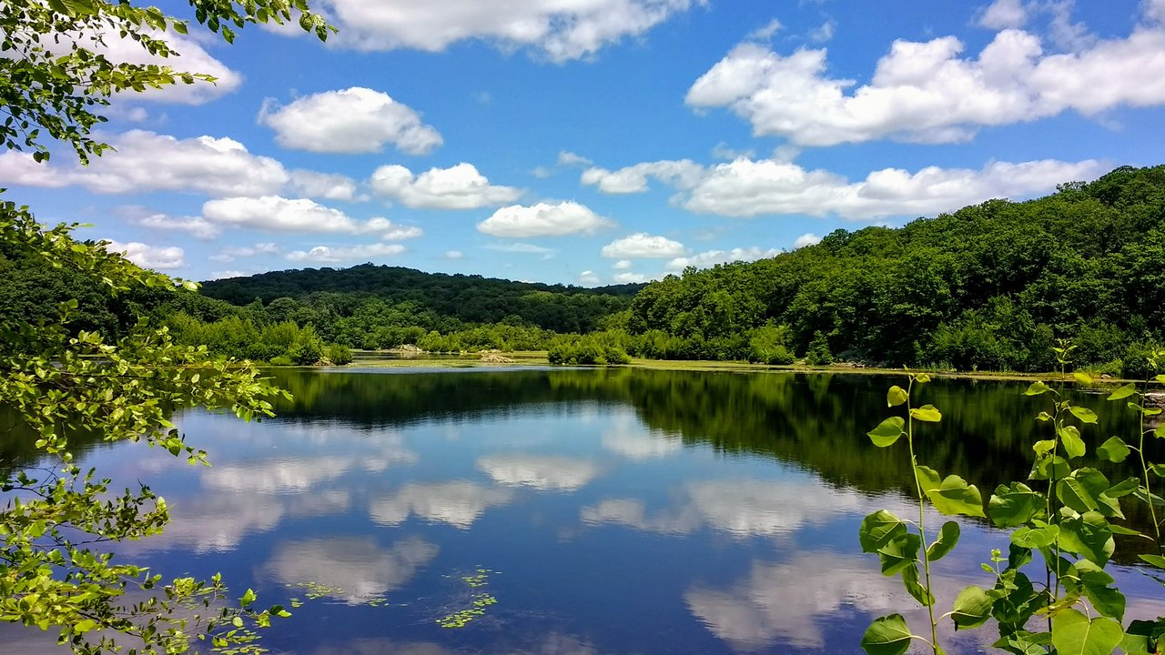 Gerri Koch, Realtor in Woodcliff Lake, NJ (2)