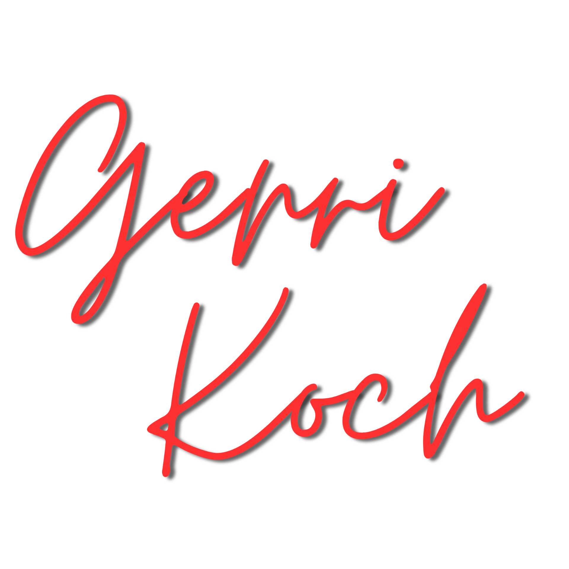 Gerri Koch, Realtor in Woodcliff Lake, NJ (4)