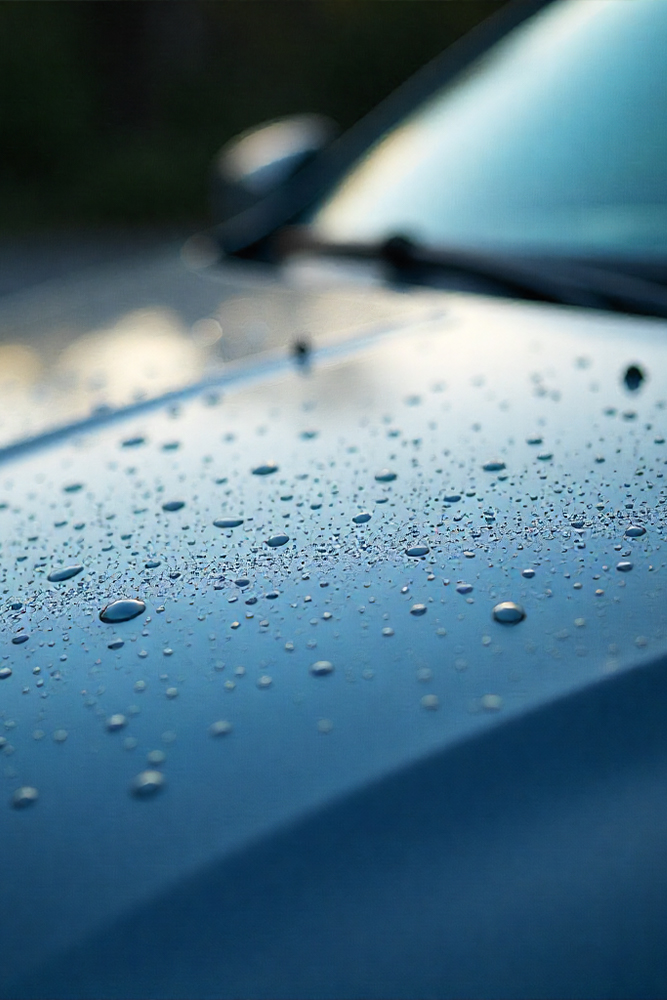Inside Out Detailing & Window Tint in Lakeland, FL (4)