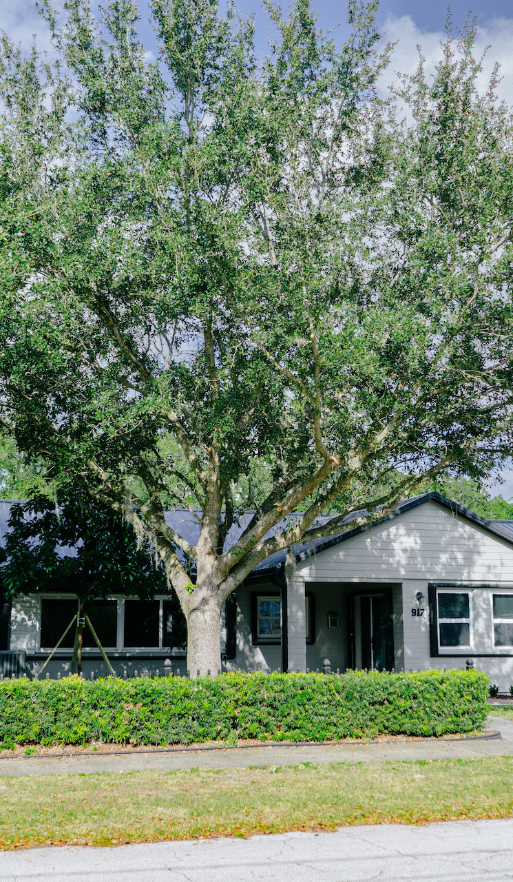 Accounting & More Services - Nadie Sabe Más in Kissimmee, FL