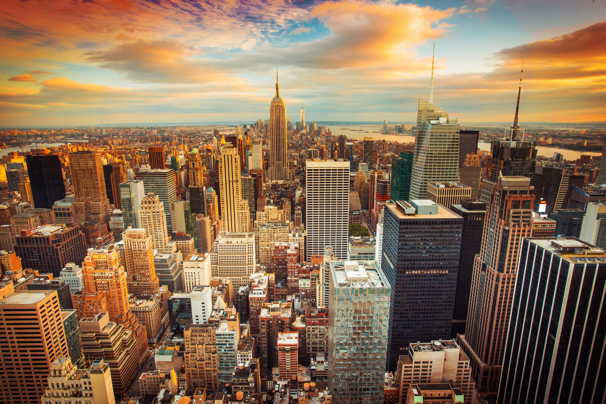 Zjama Realty Corp in Brooklyn, NY (2)