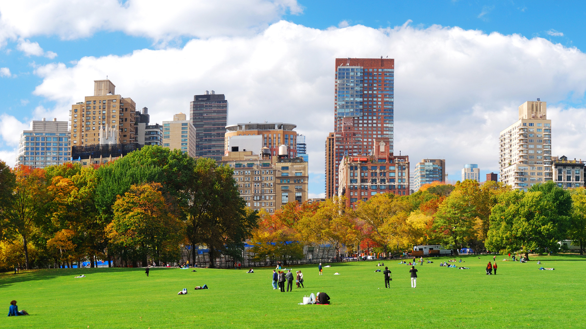 Zjama Realty Corp in Brooklyn, NY (3)
