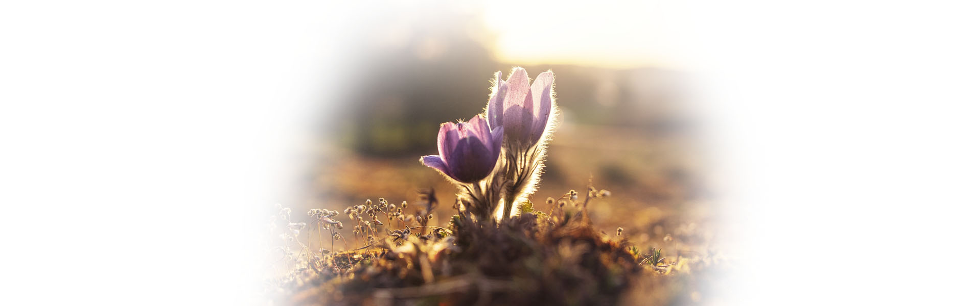 Parable Coaching and Counseling Resources LLC in Archbold, OH (3)