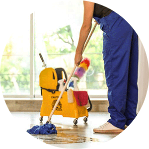 Gloria Cleaning in Bronx, NY (2)