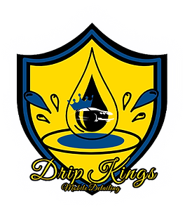 Drip Kings Mobile Detailing LLC in Winter Park, FL (3)