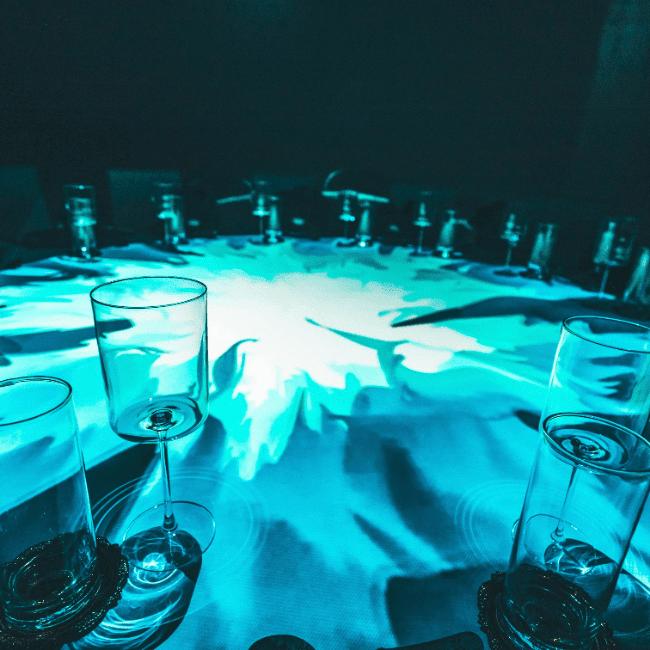Elysium Immersive Dining in Lighthouse Point, FL (3)