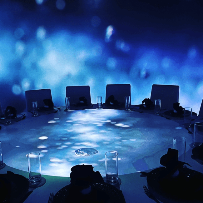 Elysium Immersive Dining in Lighthouse Point, FL (4)