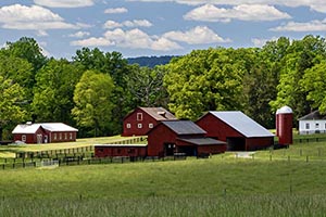 Gayle Harvey Real Estate Inc. in Charlottesville, VA (2)