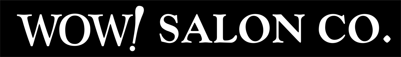 WOW! Salon Co. in Greenville, SC (5)
