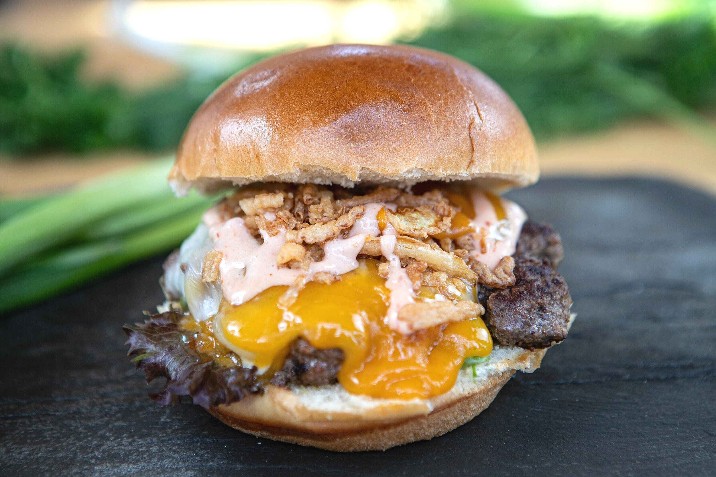 SwedeDish Food Truck in Orlando, FL (5)