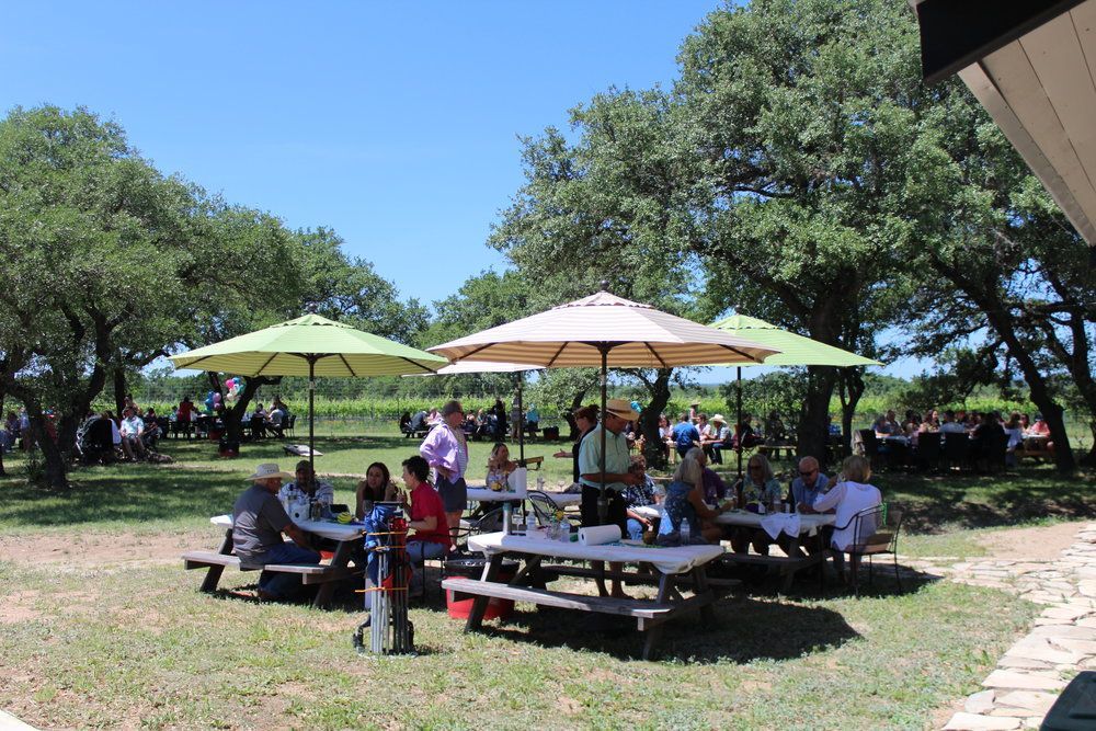 Lewis Wines in Johnson City, TX (4)