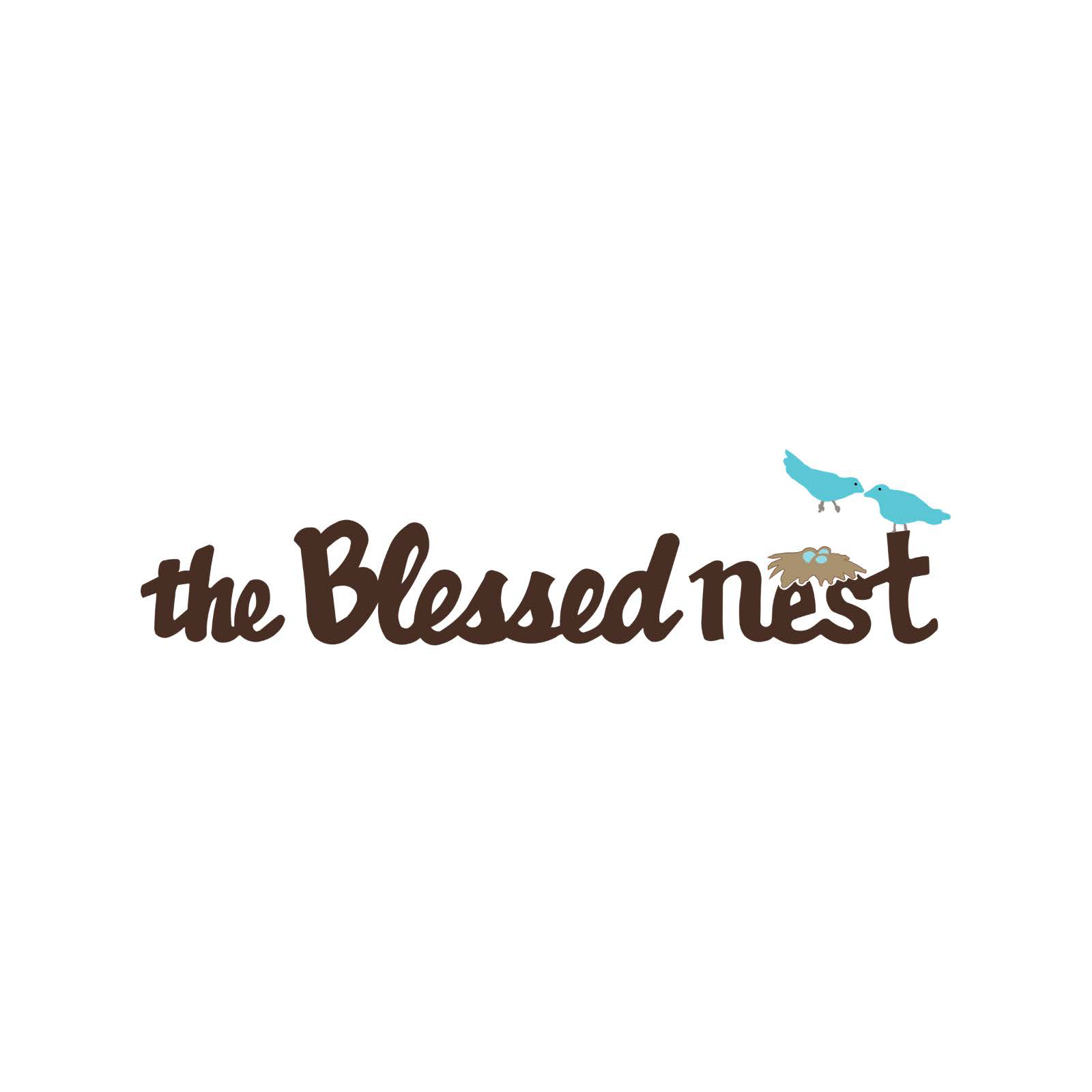 The Blessed Nest in Snyder, TX (3)