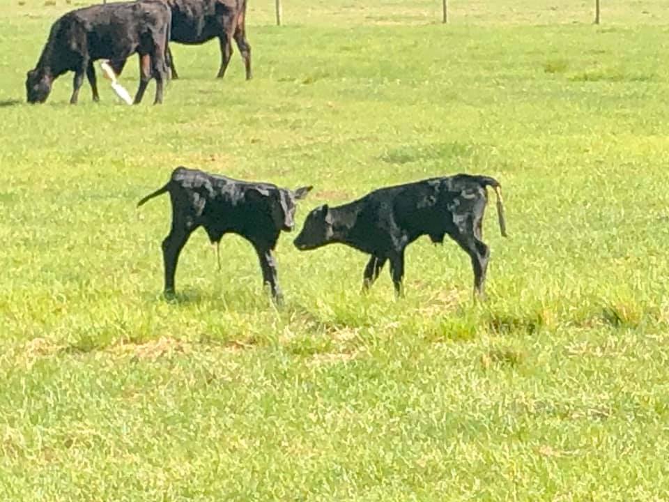 DorRay Ranch in Webster, FL (6)