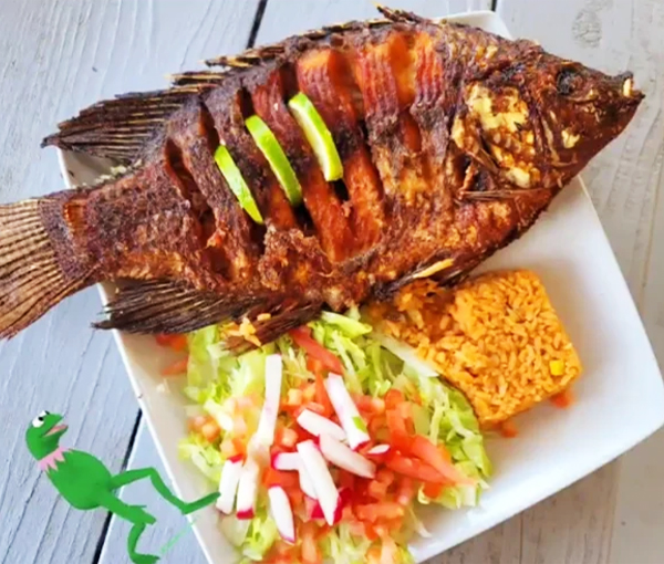 Taqueria El Calentanos in Tallahassee, FL (6)