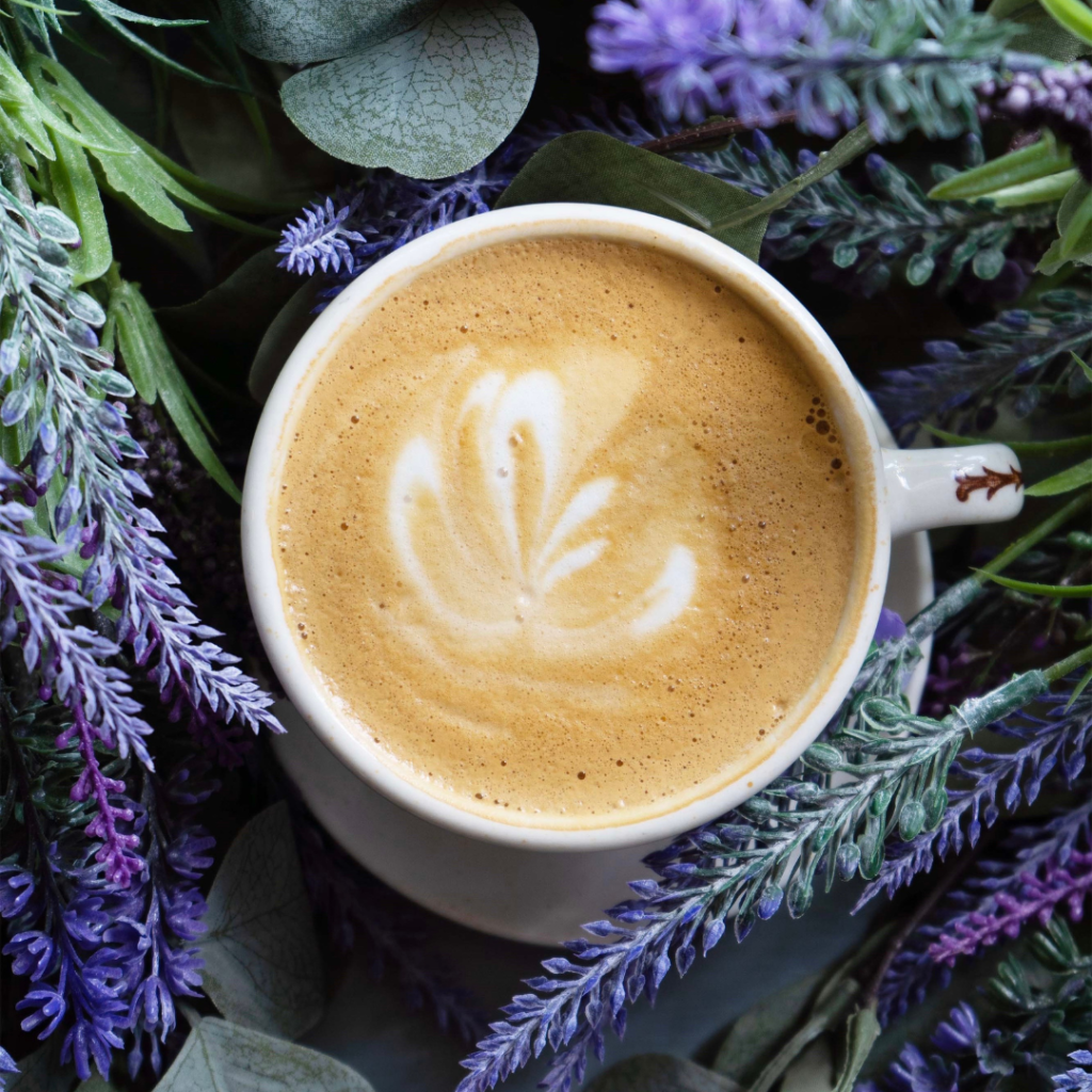 The Fig Tree Coffee, Art, & Music Lounge in Roseville, CA