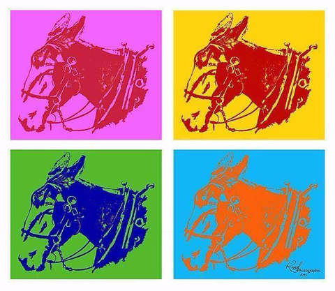 The Blind Mule in Mobile, AL