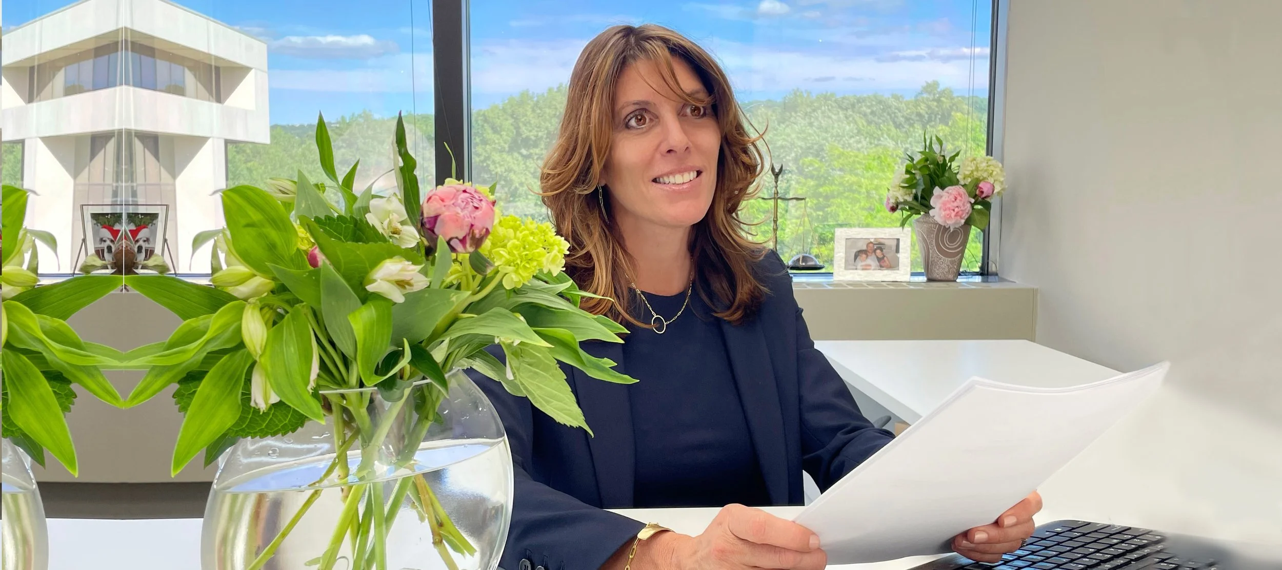Dana Navins Family Law, LLC in Tarrytown, NY