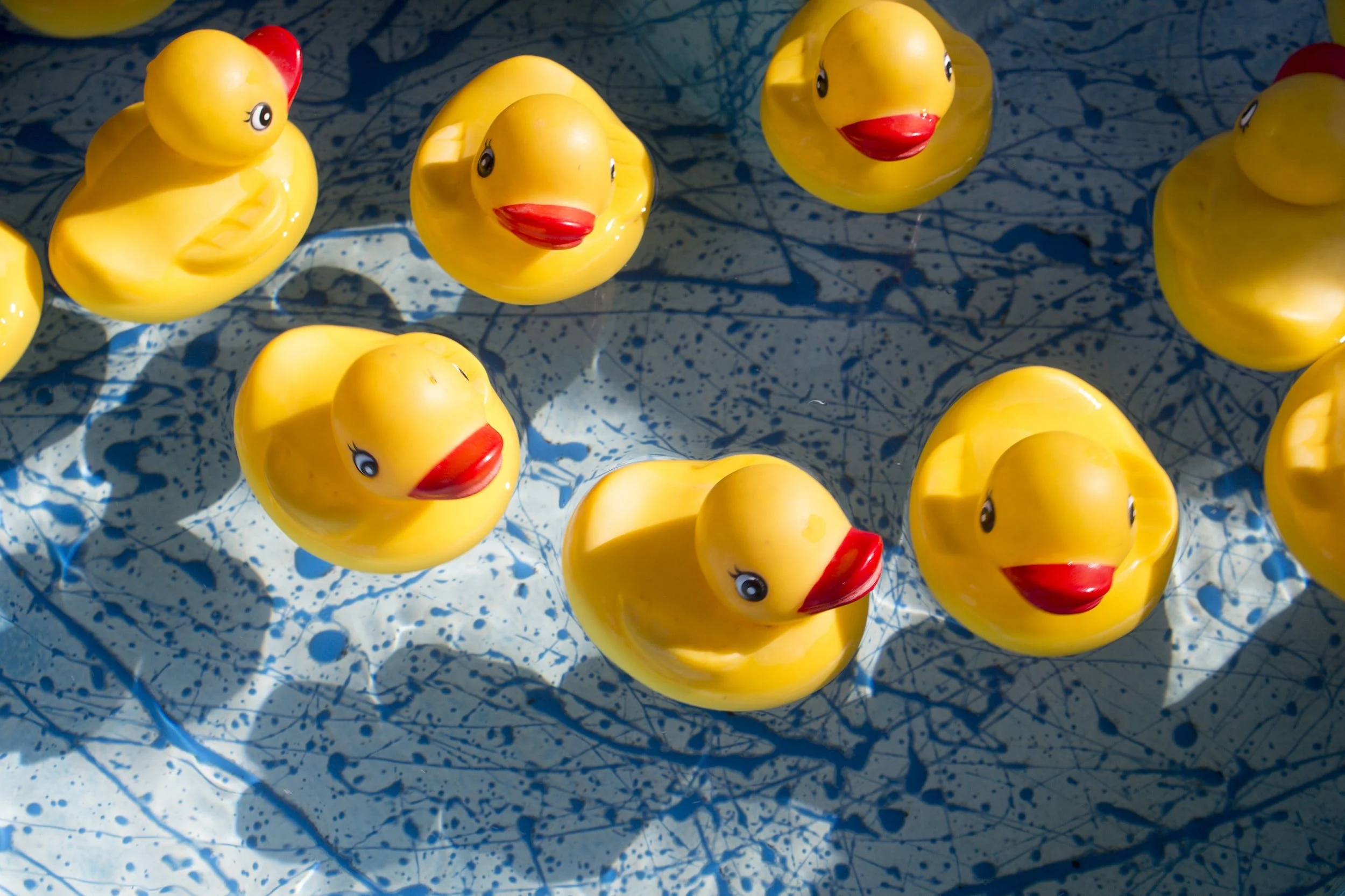 Ducky Detailers in Pewaukee, WI (2)