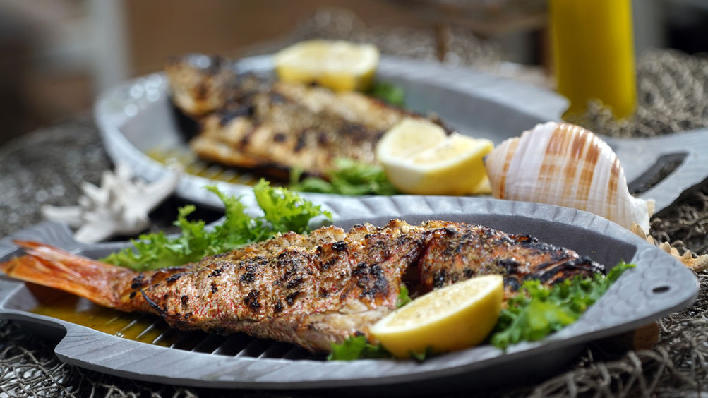 Telly’s Taverna Of Port Chester in Port Chester, NY (5)