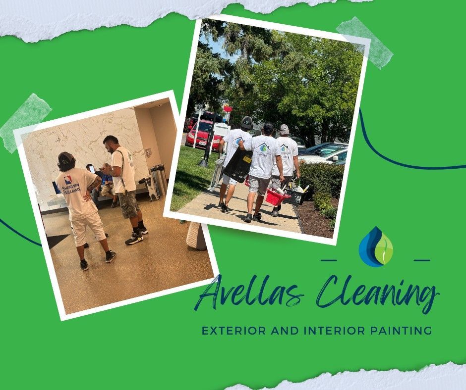 Avellas Cleaning in Madison, WI (3)