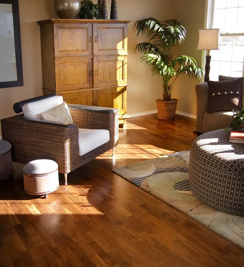 Avellas Cleaning in Madison, WI (6)